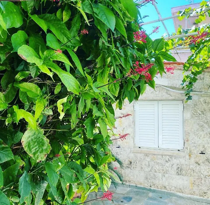 Little Cottage-1
