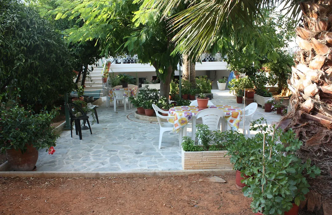 Veggie Garden Athens B&B-1