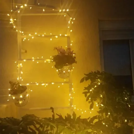 Inspiration Guestroom With Amazing Roof Garden-2